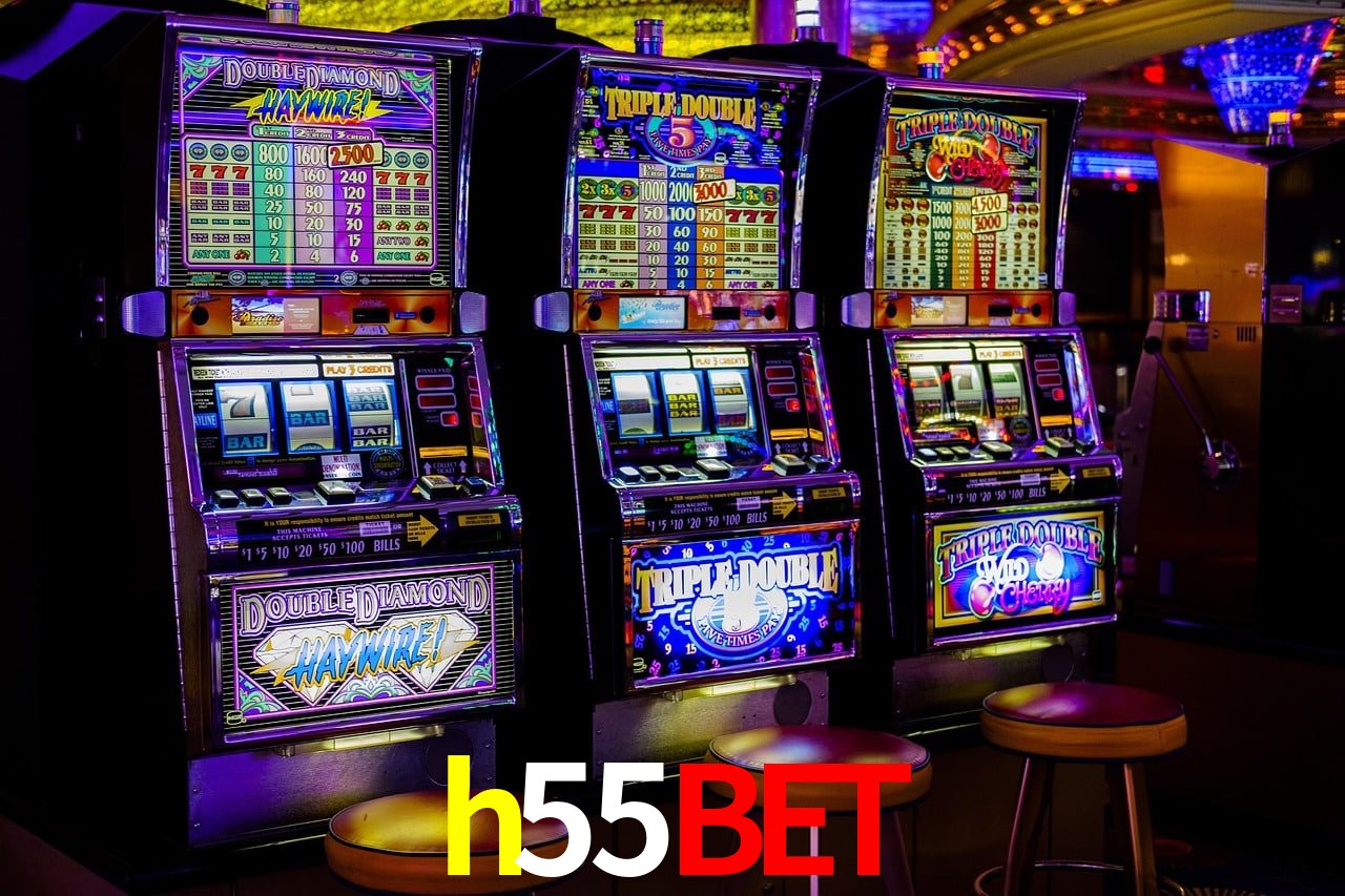 Casino VIP h55bet